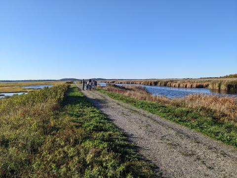 Image of people walking along impoundments