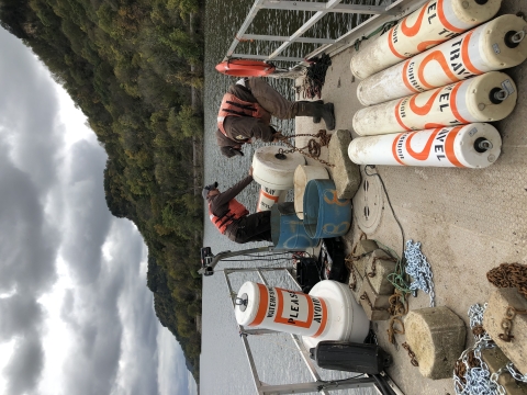 Staff attach a concrete anchor to an orange-and-white Voluntary Waterfowl Avoidance Area buoy before deploying the buoy on the Mississippi River