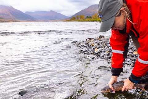 a woman releases a fish into the lake