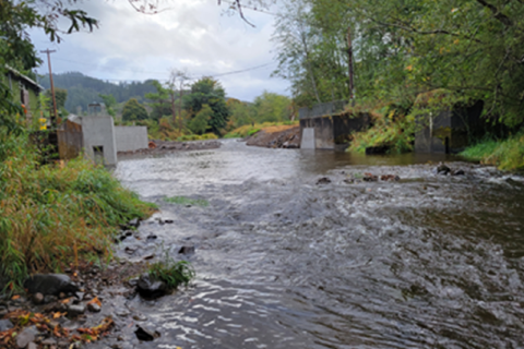 water running in a stream between two banks