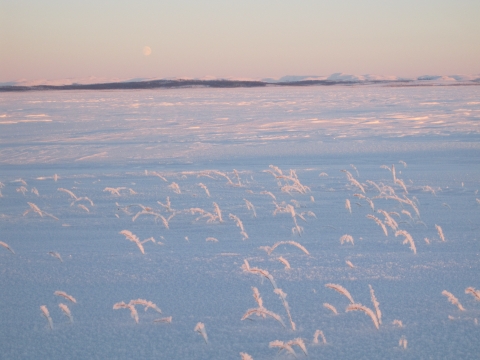 a pastel colored snow field