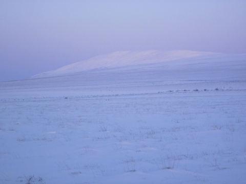 a pastel sunset over snow