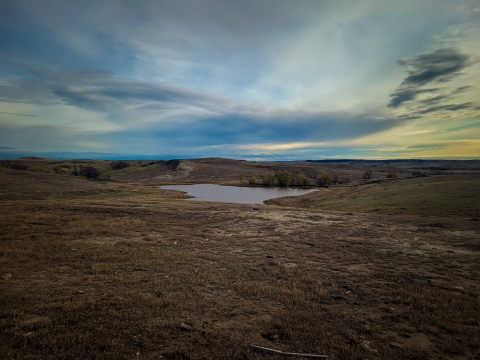 an open landscape with a body of water near the back. Blue and orange sky in background.