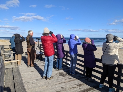 Image of birders on an overlook