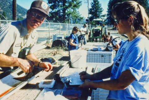 Two people working at a table recording data on fish with a few people working in the background