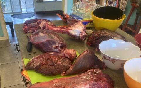 Picture of carved elk cuts on a counter top.