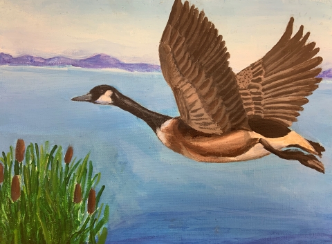 Tennessee Jr. Duck Stamp Program U.S. Fish Wildlife Service