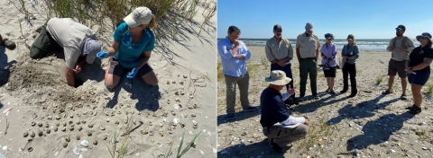 2 photos: On left, 2 people on beach, one with hand down hole. On right, person squatting in sand talks to seven others