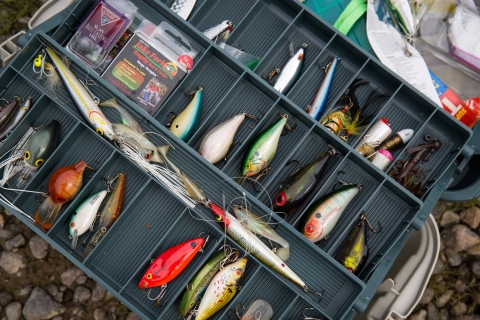 An open tackle box full of fishing lures