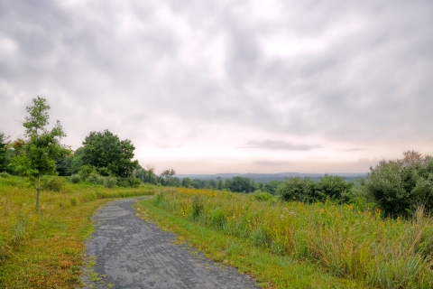 a path leads through a field. 