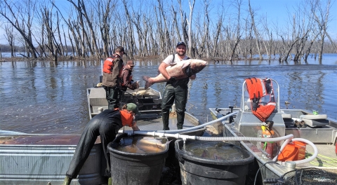 USFWS employee holds carp