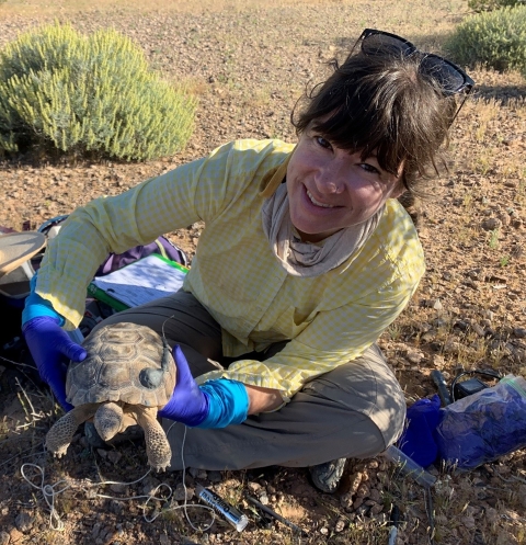 Woman sitting on ground holding a desert tortoise