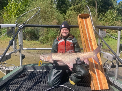 FWS intern holding a Grass Carp on the bow of a boat.