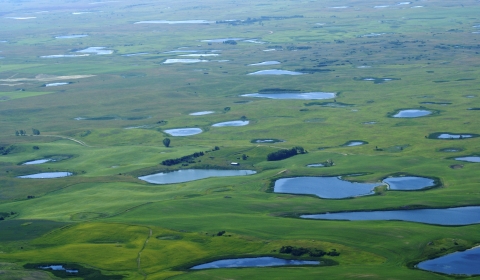 Prairie landscape