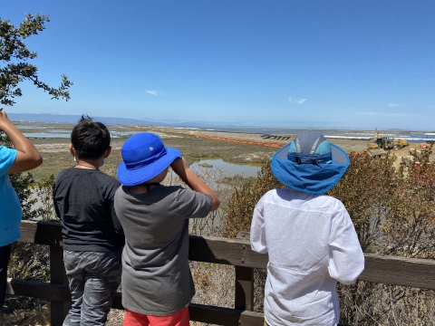 Kids overlooking a marsh