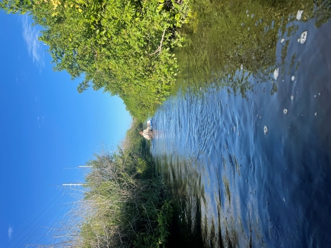 South Florida Canal, Vero Beach FL