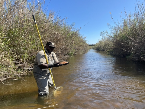 Fisheries Biologists Barging Their Way Into the South Florida
