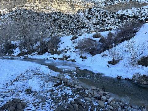 half frozen river with a rocky bank and scraggly bushes on either side of it