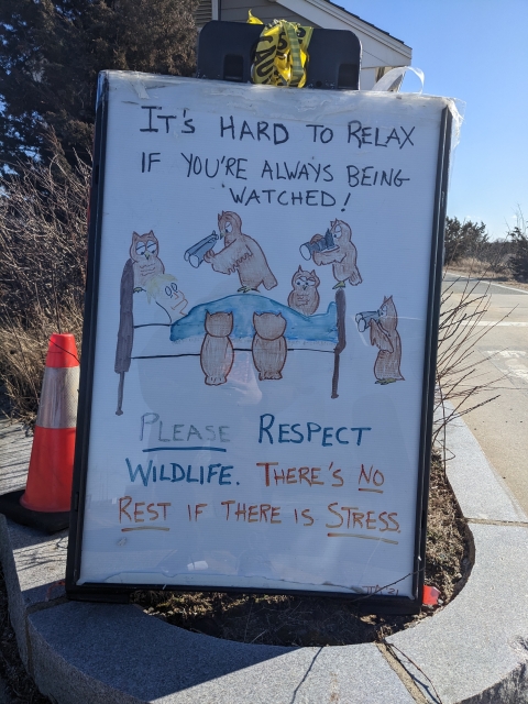 Image of poster with owls watching human sleeping