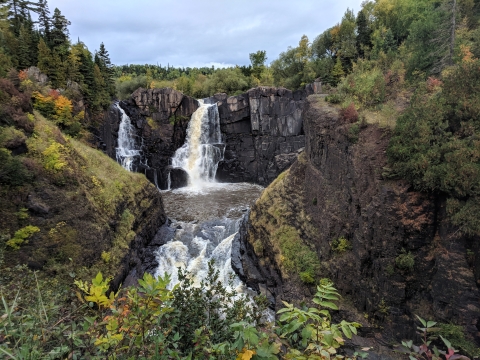 Clear fresh water flows over a cliff edge. The waterfall is surrounded by evergreen trees and ferns. Moss grows on the moist rocks at the periphery of the flowing stream.