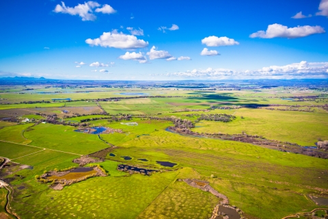 vernal pools dot a flat, grassy landscape bound by blue mountains and sky