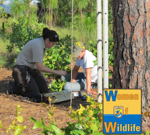 Allyne is seen kneeling on the ground with a young student. They are looking at red-cockaded woodpecker banding tools underneath a pine tree.