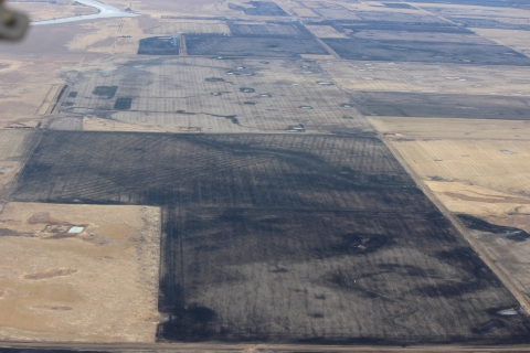 Aerial view of a drained wetland, sectioned off in large cubes. Some cubes are nearly black while others are beige