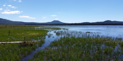 Looking across a wet prairie, filled with water, toward mountains in distance