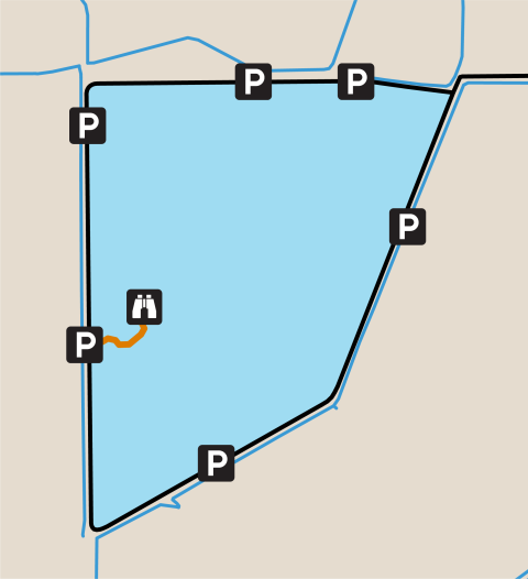 Shoveler Pond Auto Loop Map