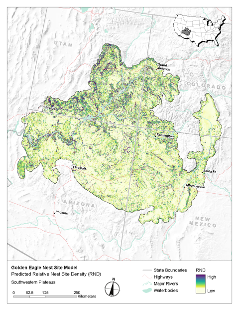 Map of modeled golden eagle relative nest site density in the Southwestern Plateaus