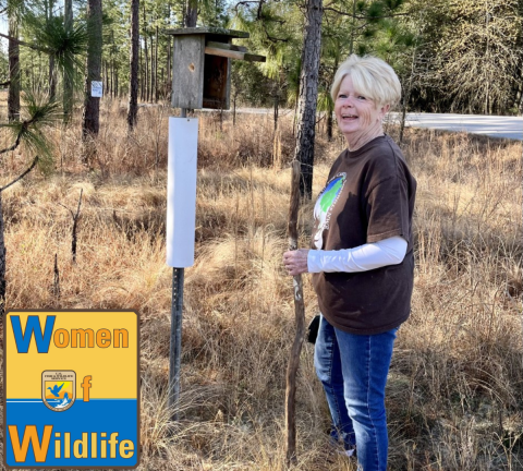 A woman standing in a forest next to a bird box