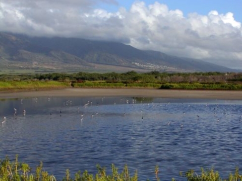 A vast pond surrounded by large mountains with rolling white clouds. 