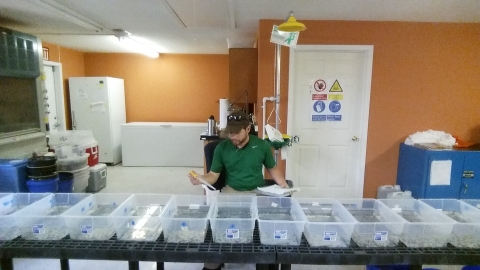 a person sitting behind a table with multiple clear plastic bins sitting on it