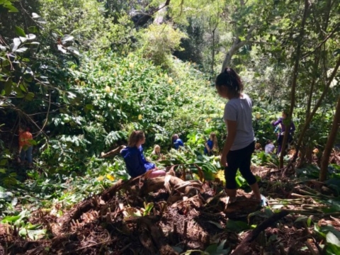 Student and volunteers hike along a trail in the woods