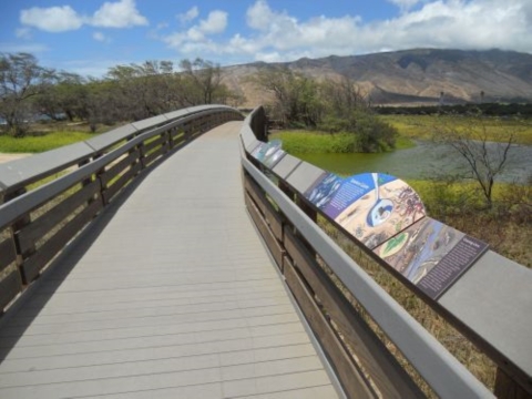 Keālia Coastal Boardwalk. A walkway intersects wetlands, surrounded by trees. 