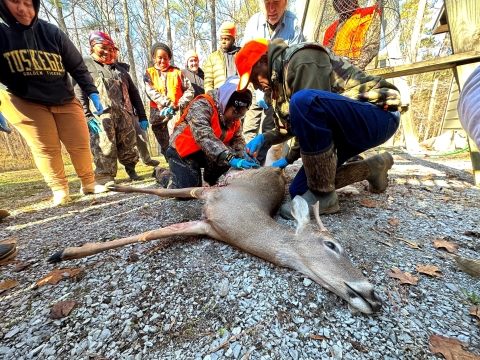 Tuskegee students in hunter orange and camouflage look on as Bill Freemen shows them how to process a deer. 