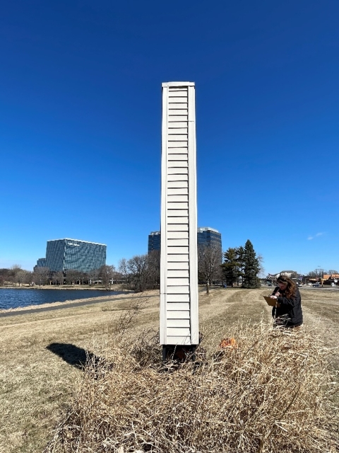 person standing in vegetation next to a tall chimney swift tower