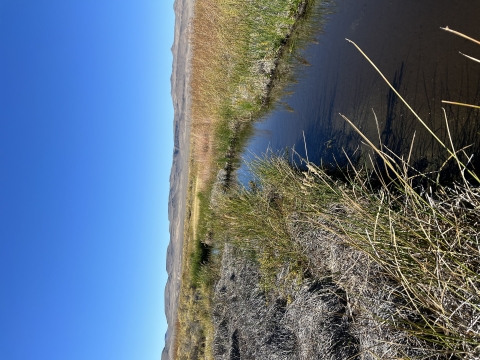 Landscape photo of a slow-flowing stream that is banked by desert grasses on either side, with low barren mountains in the background under a blue sky. 