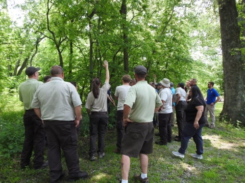 U.S. Fish and Wildlife Service Staff 