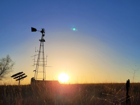 Motus tower at the Appleton-Whittell research ranch