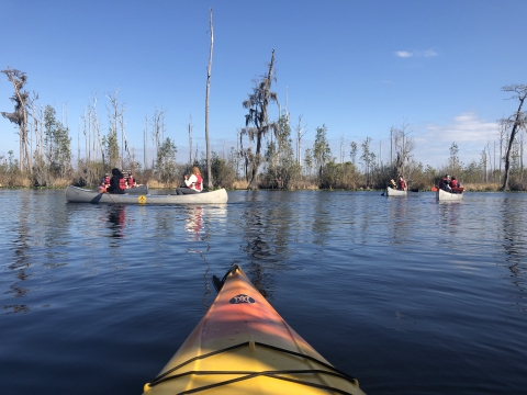 Several canoes float in the distance, paddled by students from the New School in Atlanta, GA. They are exploring the Okefenokee swamp.