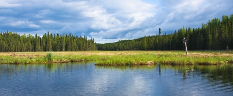 a small brown sign marks a water portage in a wetland