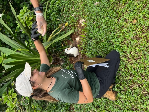 a woman in a green T-shirt and black latex gloves takes an egg from another gloved hand. She is holding a clipboard. There is and albatross sitting on a next with an egg beside it. 