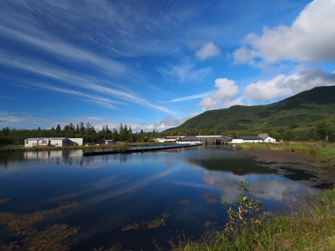 A view of calm water and blue skies with scattered clouds. There are buildings on the shore and green hills in the distance.