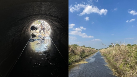 Early detection monitoring in various freshwater habitats of Florida