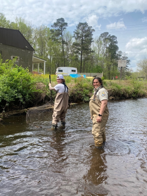 Two people standing in a river wearing waders. One is holding a large net to capture fish in. 