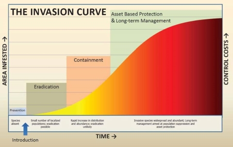 The Invasion Curve