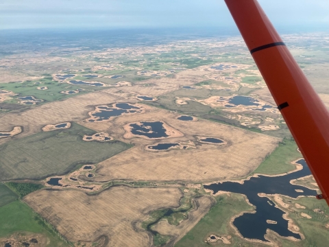 aerial view of wetlands on the landscape