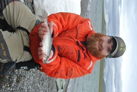 A WCS technician wearing a bright orange jacket and green hat kneels on the shores of a lagoon. He is holding a least cisco fish in his hands. 