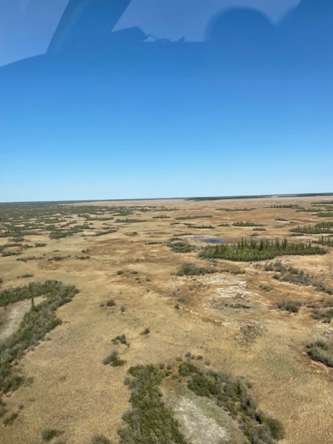 view from an airplane of wetlands and trees across the landscape